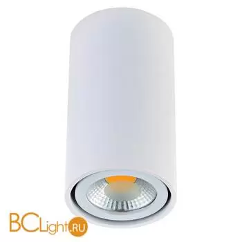 Спот (точечный светильник) Donolux 1595 N1595White/RAL9003